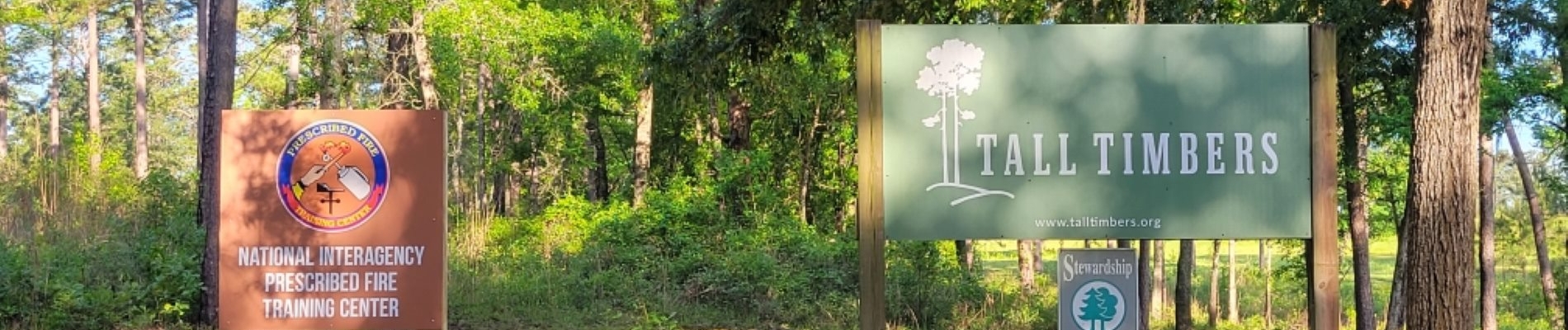 Signs in a forest