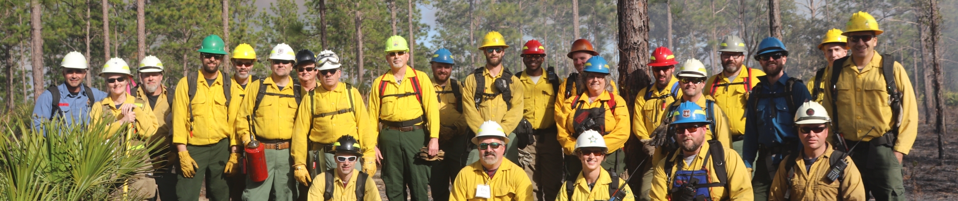 Group of people in nomex standing in front of a freshly burned forest.